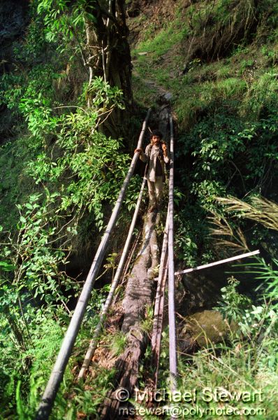 Living Bridge, Mewa Khola